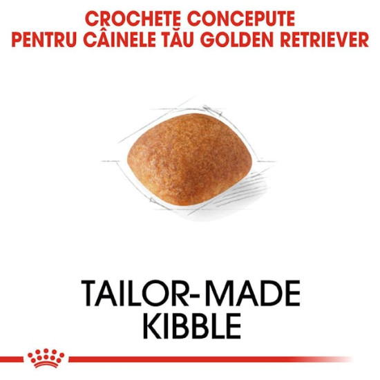 Royal Canin Golden Retriever Adult – Hrană Uscată pentru Câini Adulți din Rasa Golden Retriever – 12 kg